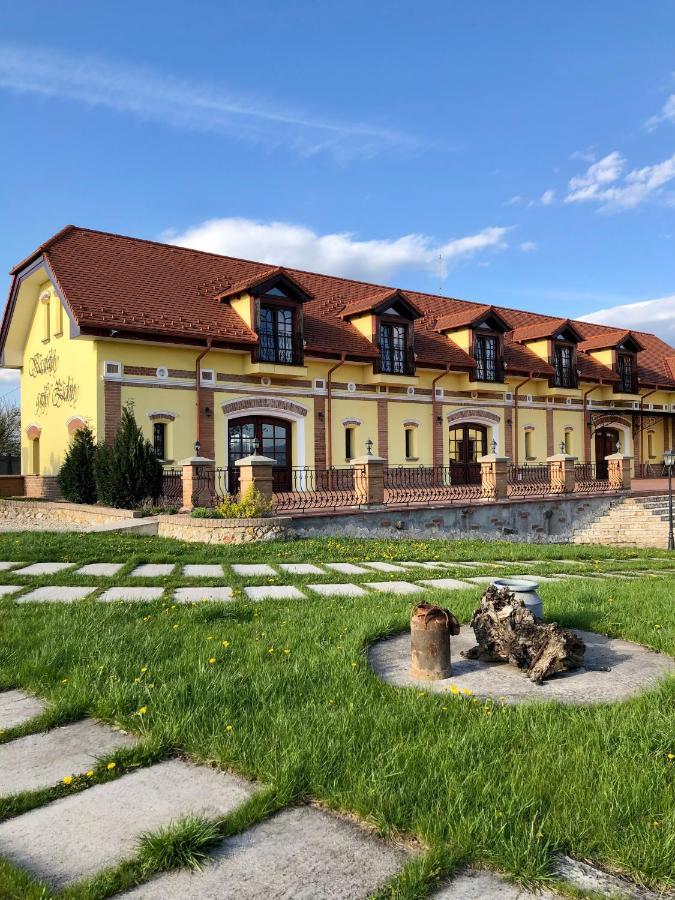 Kastely Grof Zichy Hotell Haniska Exteriör bild