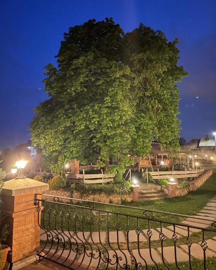 Kastely Grof Zichy Hotell Haniska Exteriör bild