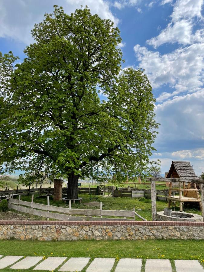 Kastely Grof Zichy Hotell Haniska Exteriör bild